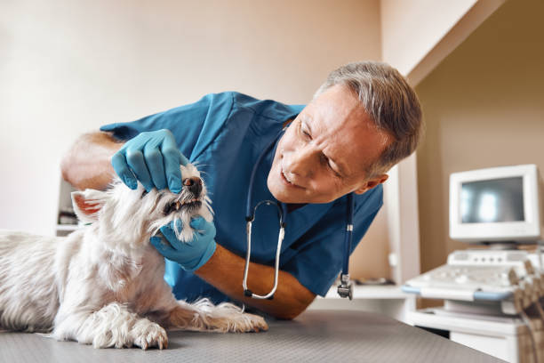 Best 24-Hour Emergency Dental Care in Byng, OK
